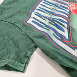 Fenway Park Tee